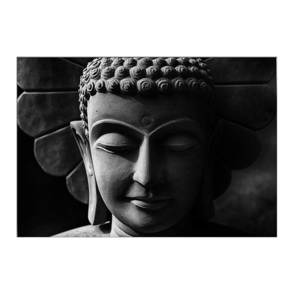 125461325-1 125461325-1