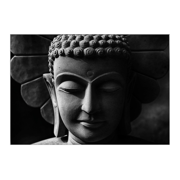 125461328-1 125461328-1