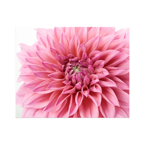 125461335-1 125461335-1