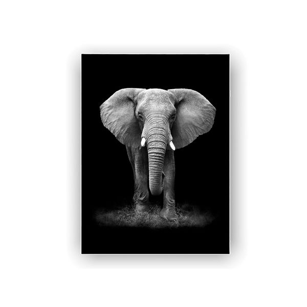 125461172-1 125461172-1