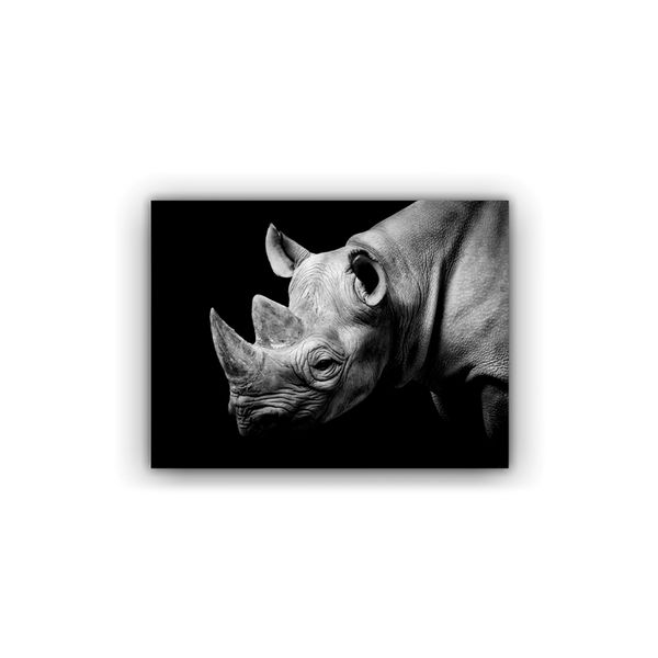 125461182-1 125461182-1