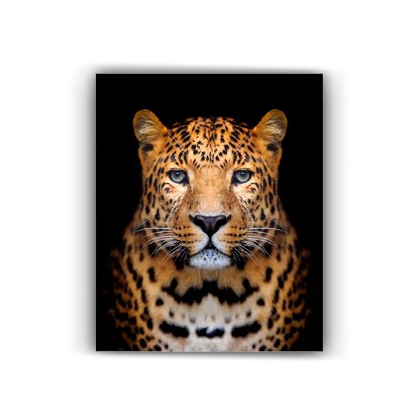 125461186-1 125461186-1