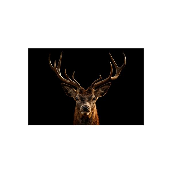 125461193-1 125461193-1