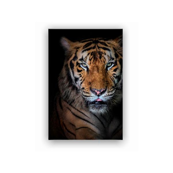 Cuadro Cara Tigre Rafe 70x50x5cm - Ekonomodo Colombia