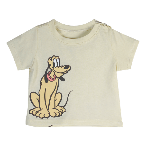 DCBP09-125602524-1 DCBP09-125602524-1