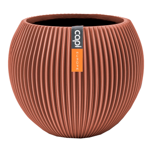 125467381-1 125467381-1