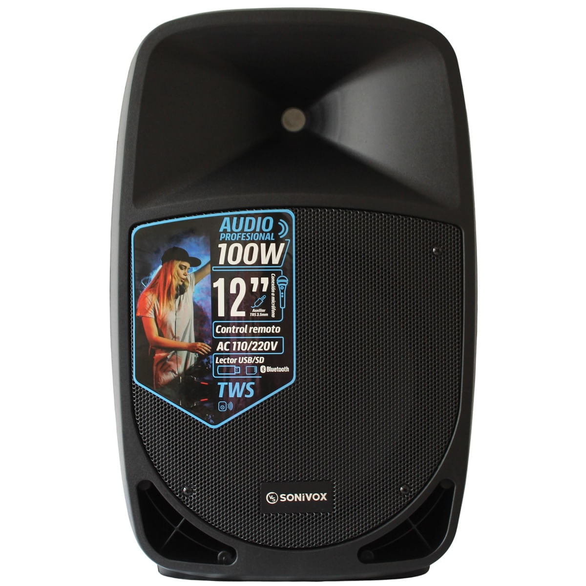 Cabina de Sonido Parlante Bluetooth 12 Pulgadas