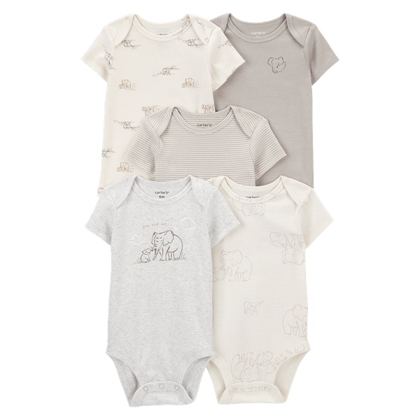 1R036310-125923246-1 1R036310-125923246-1