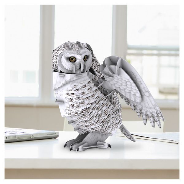 image-6bb86dd778d648aab0133f63cabe5539