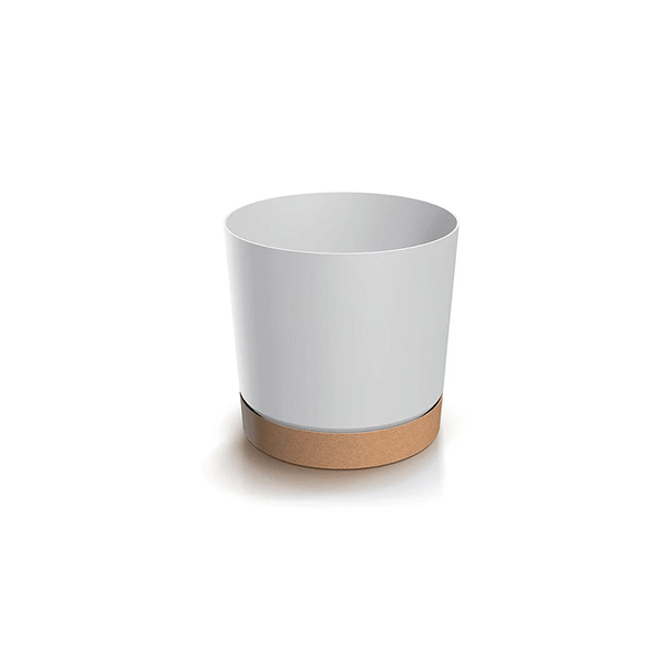 125467287-1 125467287-1