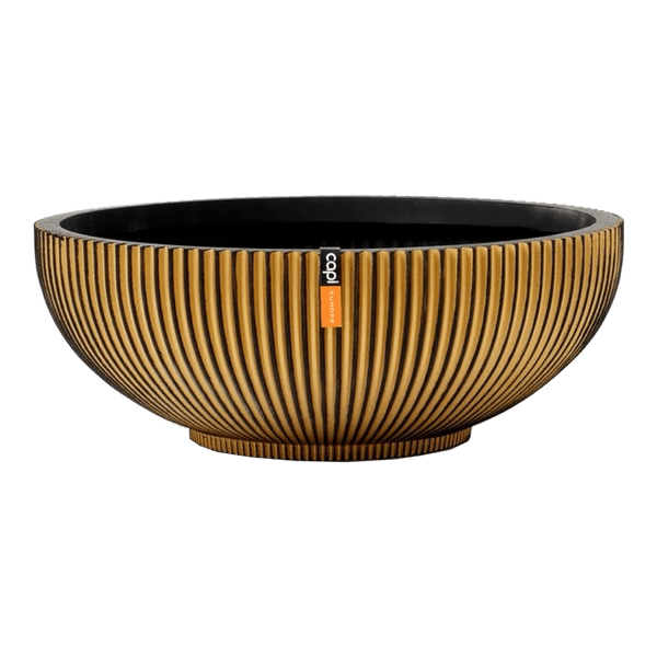 125467367-1 125467367-1