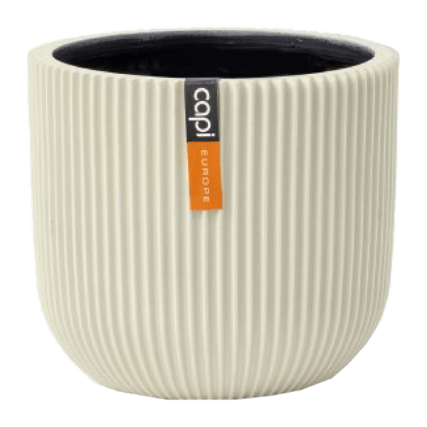 125467372-1 125467372-1