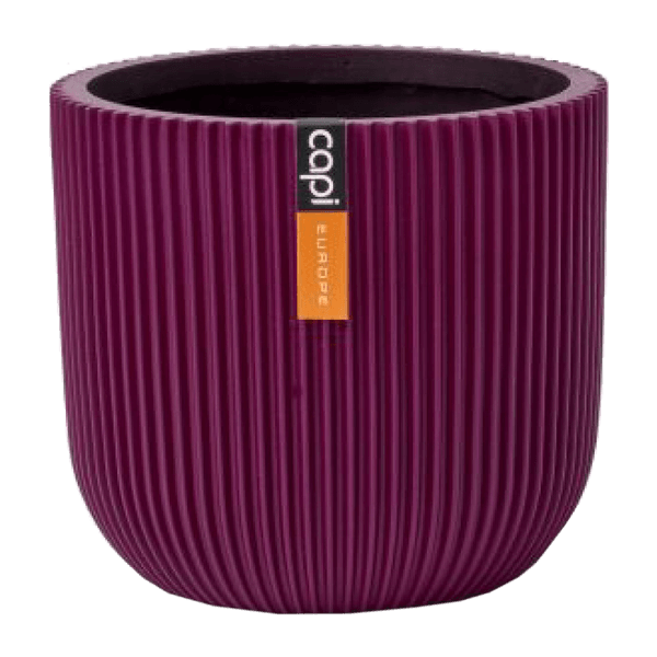 125467377-1 125467377-1