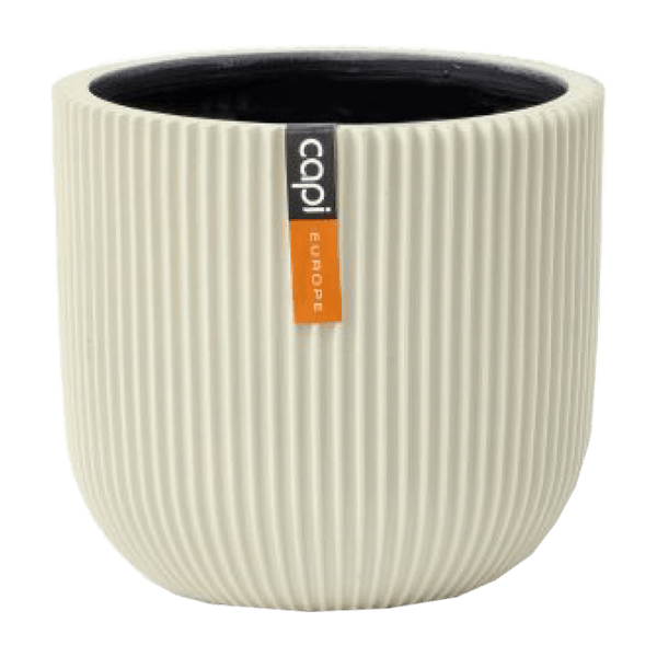 125467379-1 125467379-1