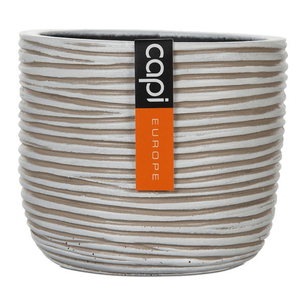 125467387-1 125467387-1