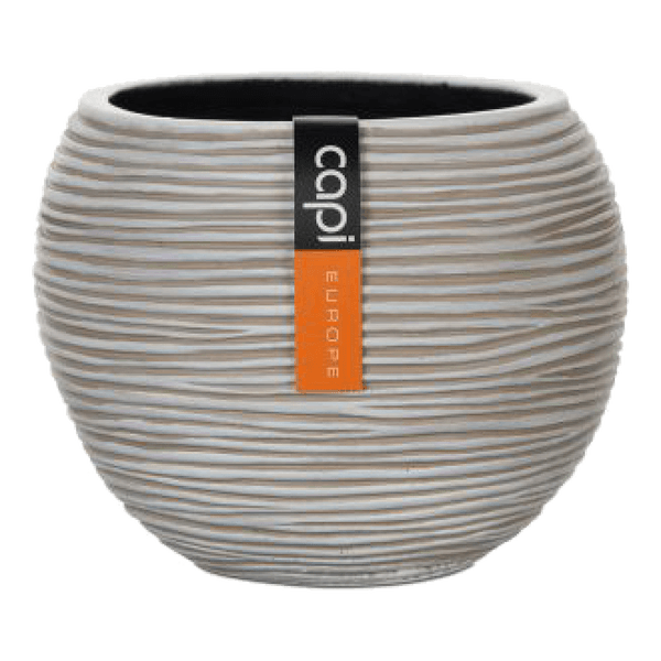 125467389-1 125467389-1