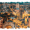 101445796-2