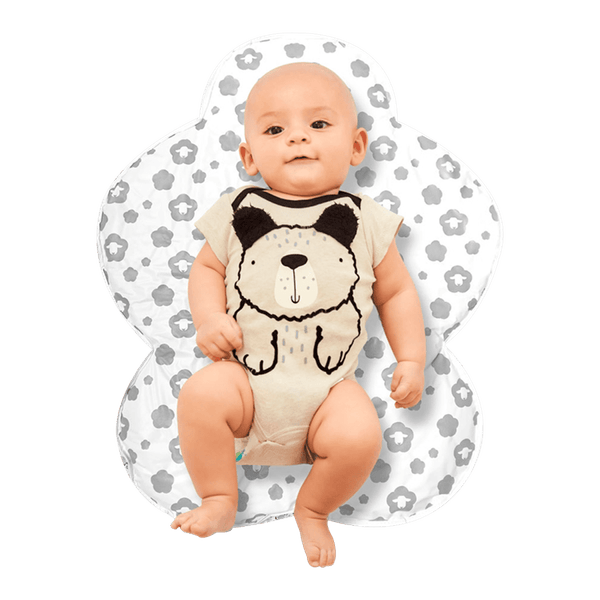 115733892-1 115733892-1