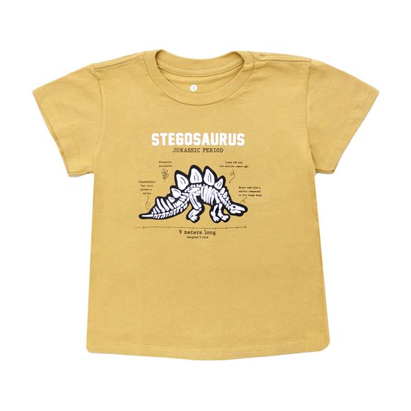 STEGO-125926948-1 STEGO-125926948-1