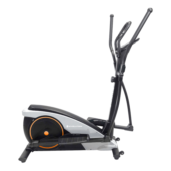 Eliptica-Ikona-Evolution