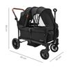 Coche-Compacto-Everet-Duo-Vagon-Negro---Priori