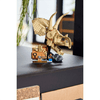 Set-Fosiles-de-Dinosaurio--Craneo-de-Triceratops-468-Piezas-LEGO