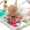 Gimnasio-para-Bebes-Tiny-Princess-Tales-Deluxe---Tiny-Love
