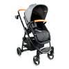 Coche-para-Bebe-Convencional-Tipo-Moises-Alfa-Gris-Bebesit