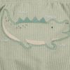 Set-2-Bodies-Surtidos-y-Pantalon-Verde-Bebes-Niños-Carter-s-6M