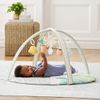 Gimnasio-de-Actividades-Garden-Oasis-Skip-Hop