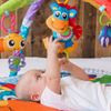 Gimnasio-Musical-para-Bebe-Clip-Clop-Playgro