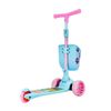 Scooter-Box-Veterinaria-Keyriders