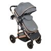 Coche-para-Bebe-Compacto-Moises-Cris-Gris---Priori