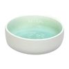 Bowl-Interior-Verde-Degradado-Blanco-12cm-Ikhome