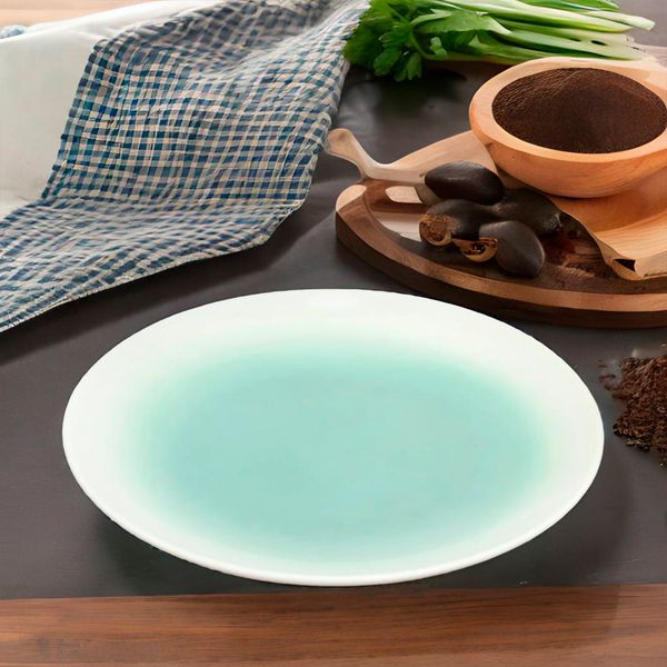 Plato-Interior-Verde-Degradado-Blanco-20cm-Ikhome