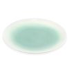 Plato-Interior-Verde-Degradado-Blanco--25cm-Ikhome