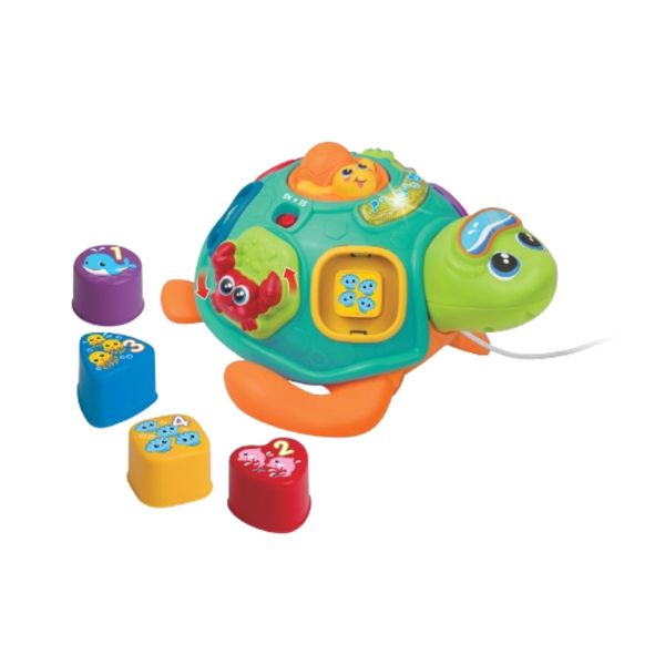 Tortuga-a-Cuerda-Clasifica-y-Aprende-Winfun