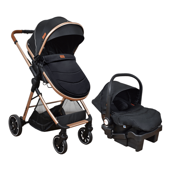 115951187-1 115951187-1