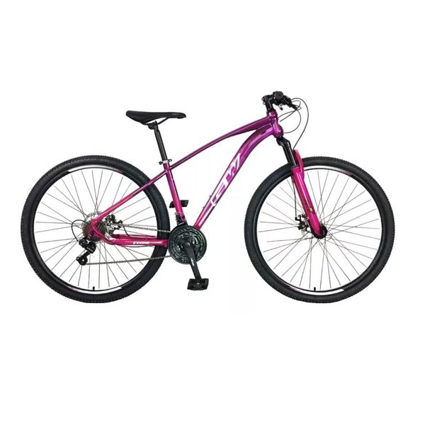 Bicicleta-Rin-29-Titan-21-Vel-T-M-Morado-GW-M