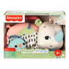Rinoceronte-Animado-Tummy-Time-Fisher-Price