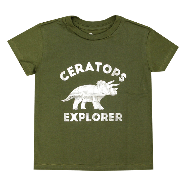 EXPLORER-1