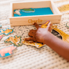 Set-20-Animales-Magneticos-Melissa-Doug