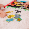 Set-20-Animales-Magneticos-Melissa-Doug