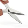 Tijeras-de-cocina-Ginger-Spice-17cm-Ikhome