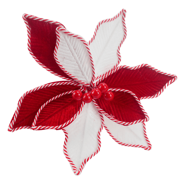 Poinsettia-de-9-Petalos-Rojo-Blanco---Aviva-Home Poinsettia-de-9-Petalos-Rojo-Blanco---Aviva-Home