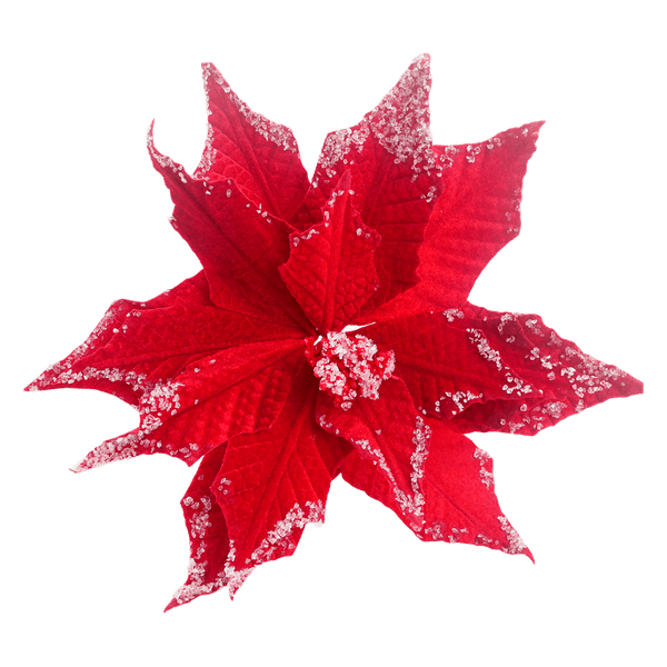 Flor-de-Pascua-Efecto-Nieve---Aviva-Home Flor-de-Pascua-Efecto-Nieve---Aviva-Home