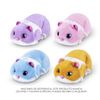 Capsula-Hamstermania-Sorpresa-S1-Pets-Alive