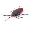 Mascota-Cucaracha-Rastreadora-S2-Robo-Alive