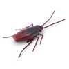 Mascota-Cucaracha-Rastreadora-S2-Robo-Alive