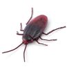 Mascota-Cucaracha-Rastreadora-S2-Robo-Alive